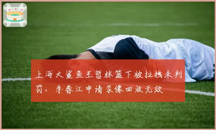 上海大鲨鱼王哲林篮下被拉拽未判罚,李春江申请录像回放无效